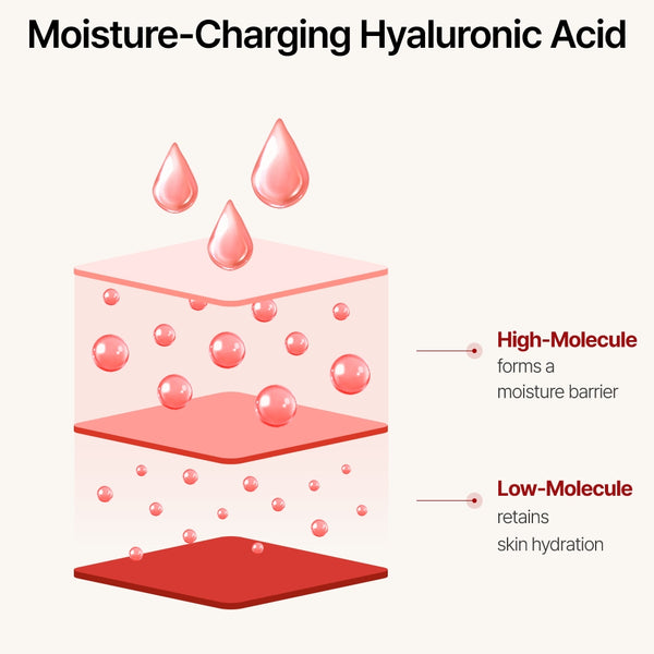 Anne of Green Gables Edition Crema Caracol Pink Snail Cream 50ml (+ Mirror)